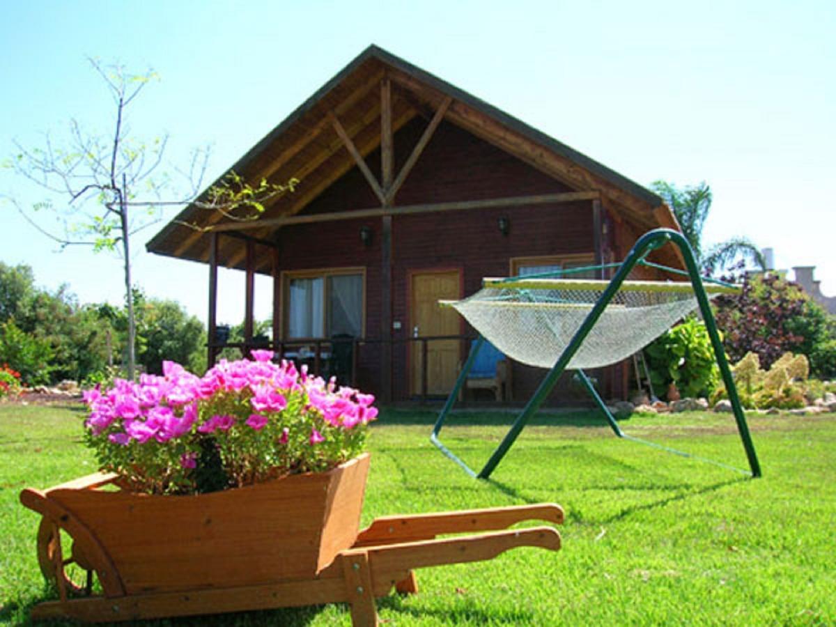 Tal Nof Cabins Villa Manot Room photo